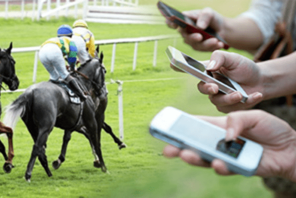 Horse track betting online